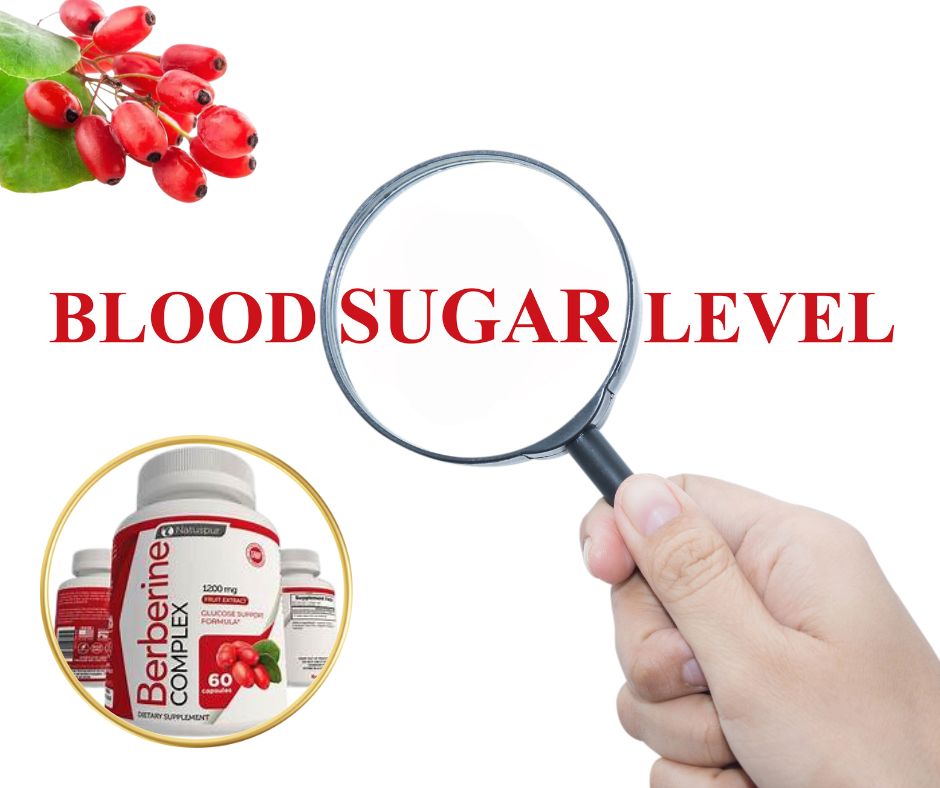 Balance Your GI Cholesterol Blood Sugar Nurturing You Women s 